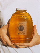 Honey